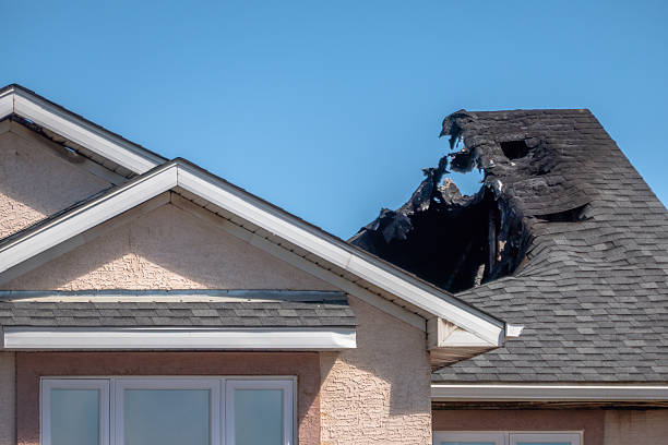 Top rated local Fire Board Up specialists in Lakeland, MN